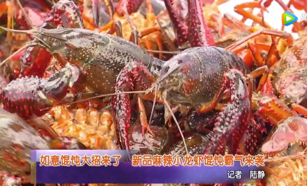 蘇州電視臺報道：如意餛飩大招來了！新品麻辣小龍蝦餛飩霸氣來襲